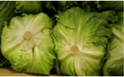装置のないトラックで輸送した野菜