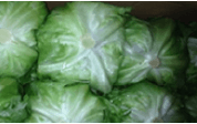 装置を取り付けて輸送した野菜